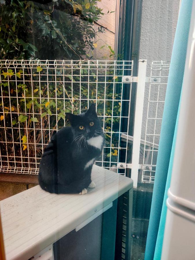 Glen Stage 中浦和 Apartment Saitama Bagian luar foto